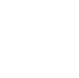 Licensed Professional Badge